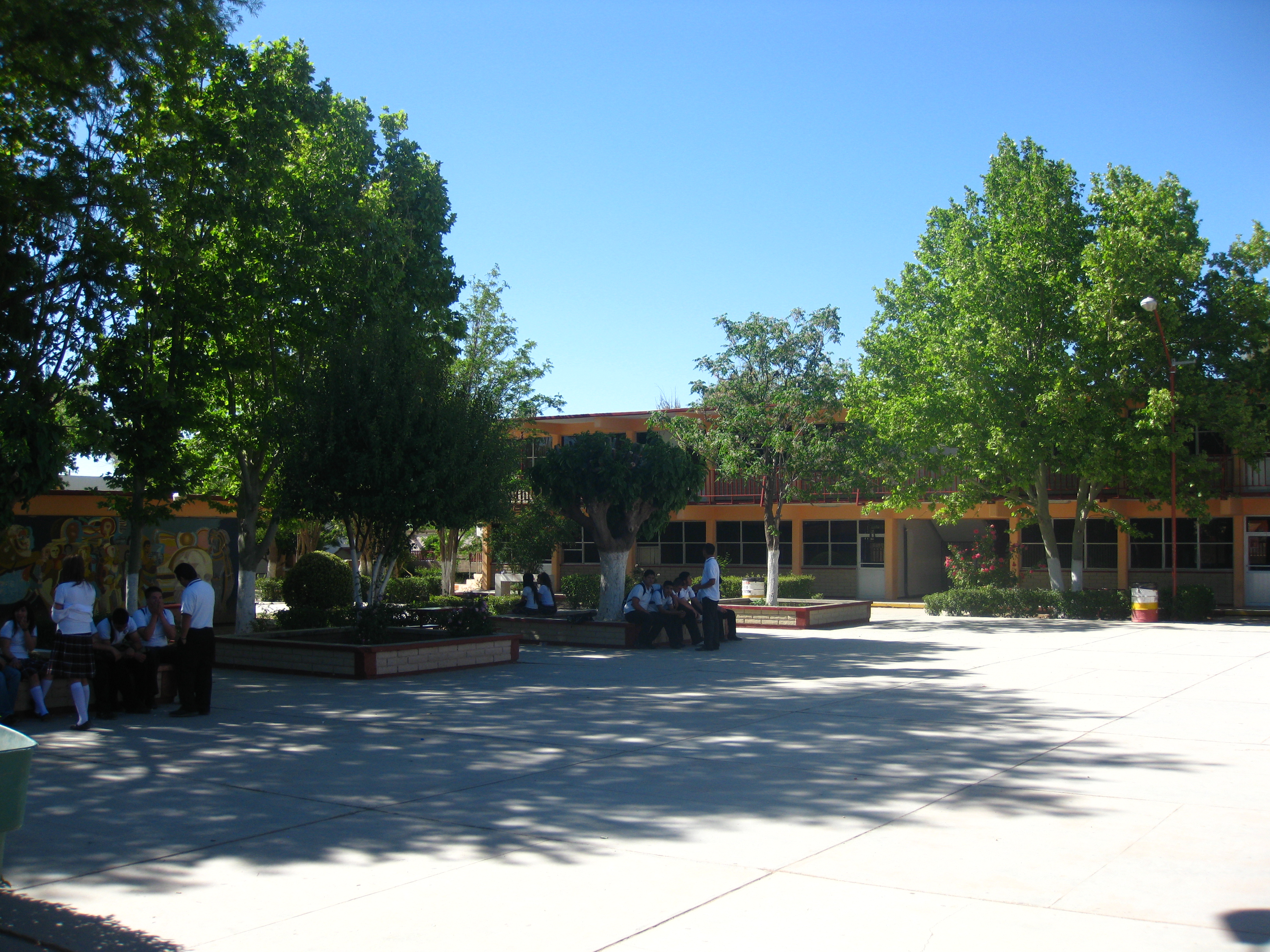 CBTis 81